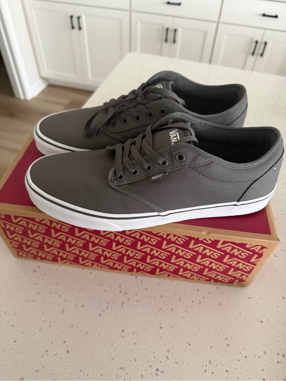 Vans Gray Canvas Low-Top Sneakers - Men's